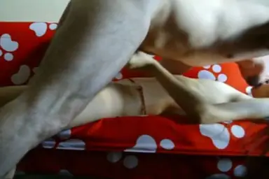 ABG Bispak Hotel Bintang Lima Lumer Enak